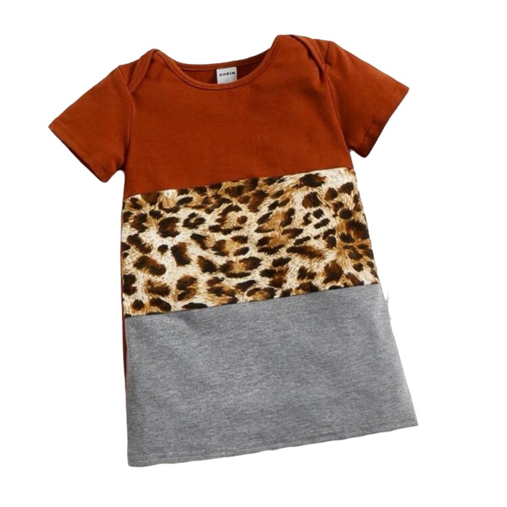 Cheetah Color Block Dress